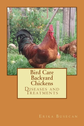 Bird Care Backyard Chickens: Diseases and Treatments
