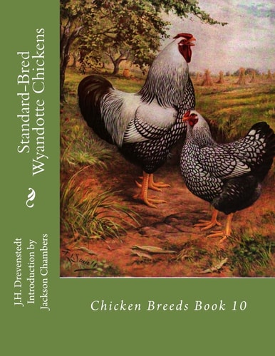 Standard-Bred Wyandotte Chickens Chicken Breeds Book 10