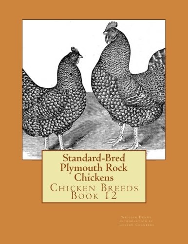 Standard-Bred Plymouth Rock Chickens Chicken Breeds Book 12