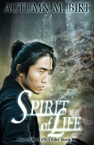 Spirit of Life Elemental Magic and Epic Fantasy Adventure