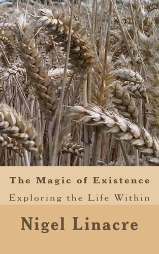 The Magic of Existence Exploring the Divine Within