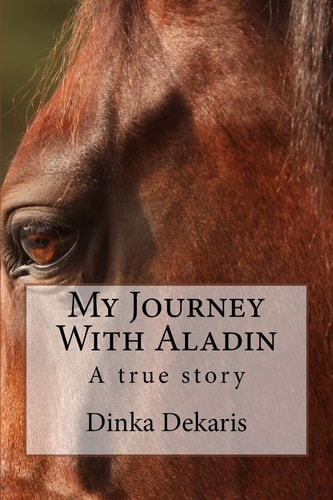 My Journey with Aladin A True Story