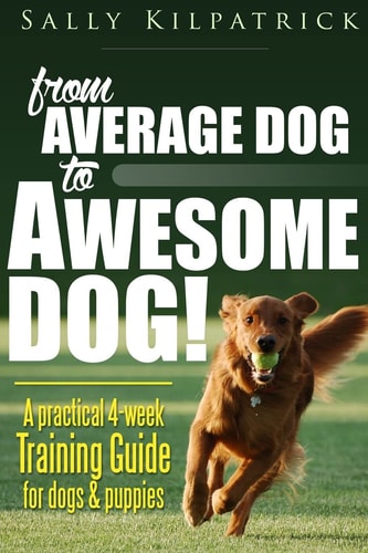 Dog Training From Average Dog to Awesome Dog: Training for Dogs and Puppies