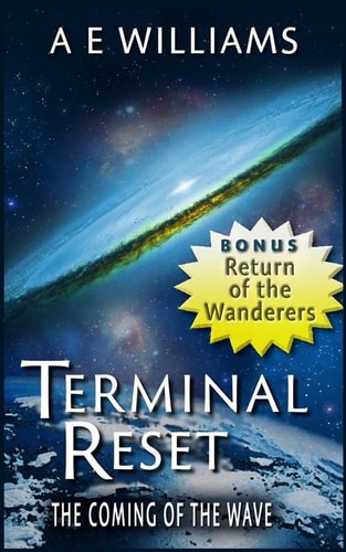 Terminal Reset The Coming of the Wave