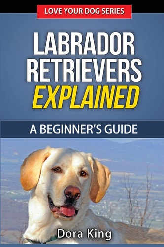 Labrador Retrievers Explained A Beginner's Guide