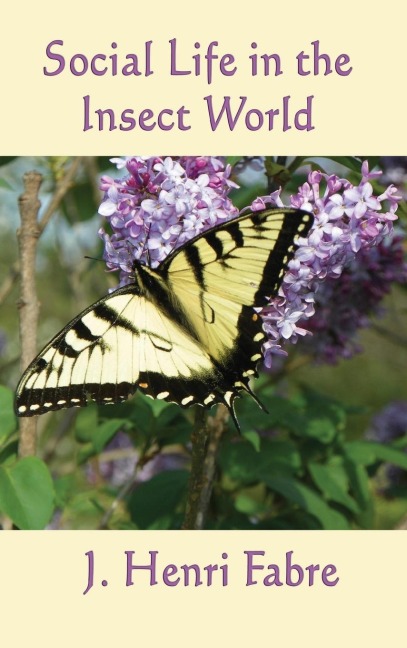 Social Life in the Insect World: Observations on Behavior and Organization in the Insect World