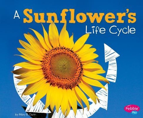 A Sunflowers Life Cycle