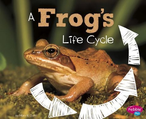 A Frogs Life Cycle