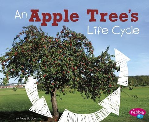 An Apple Trees Life Cycle