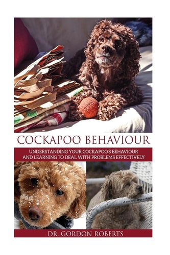 Cockapoo Behaviour Understanding Your Cockapoo's Behaviour and Learning to Deal with Problems Effectively