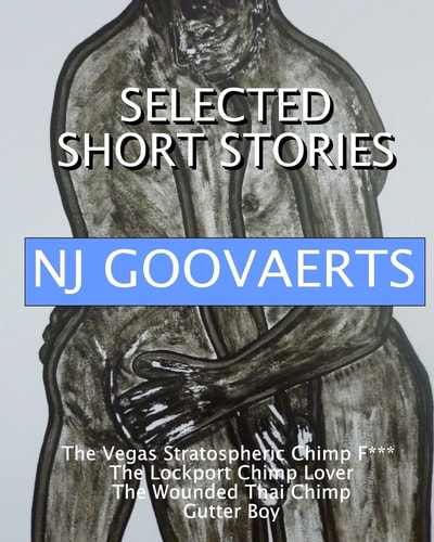 The Selected Short Stories of NJ Goovaerts