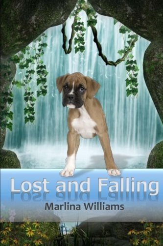 Lost and Falling