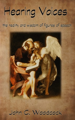 Hearing Voices The Reality and Wisdom of Figures of Speech