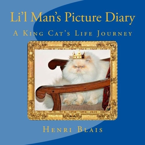 Li'l Man's Picture Diary A King Cat's Life Journey
