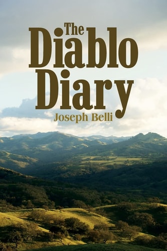The Diablo Diary