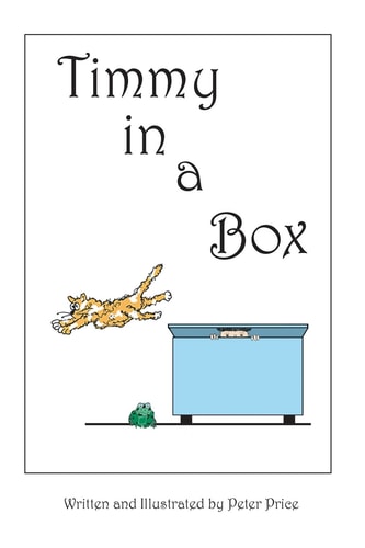 Timmy in a Box