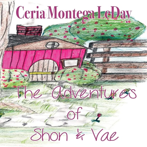 The Adventures of Shon and Vae