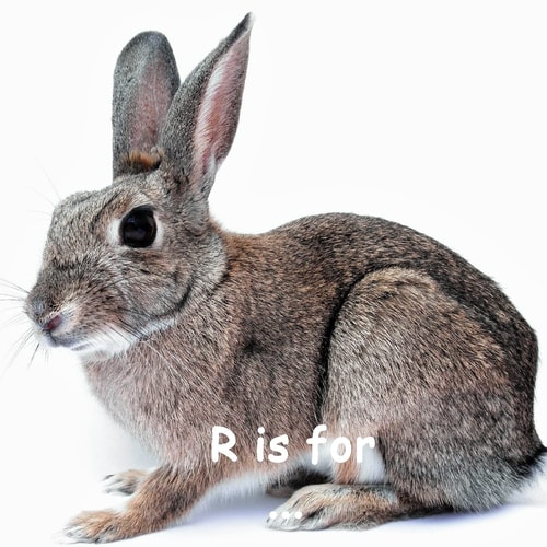 R Is For ... A Learning My Alphabet Book