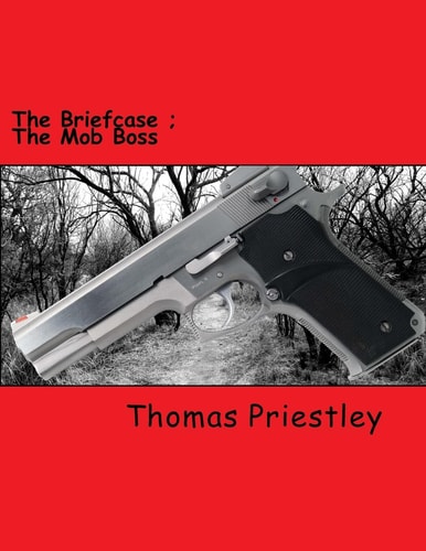 The Briefcase The Mob Boss