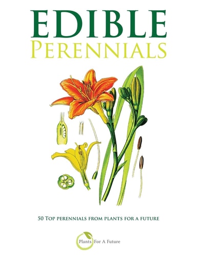 Edible Perennials 50 Top Perennials from Plants for a Future