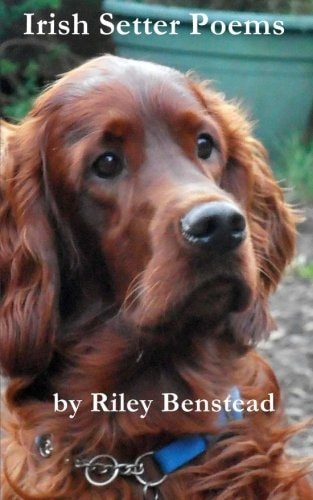 Irish Setter Poems