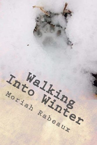 Walking Into Winter Writing to Warm the Frostbitten Soul