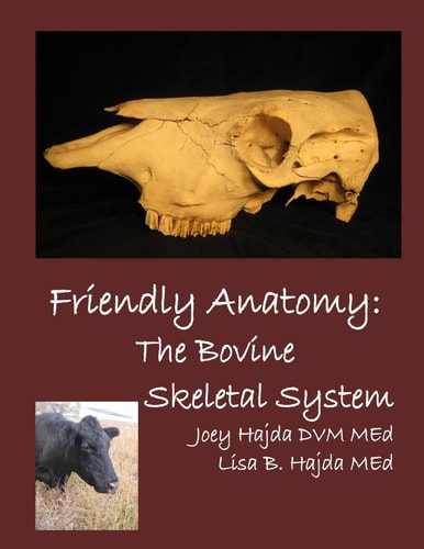 Friendly Anatomy Bovine Skeletal System