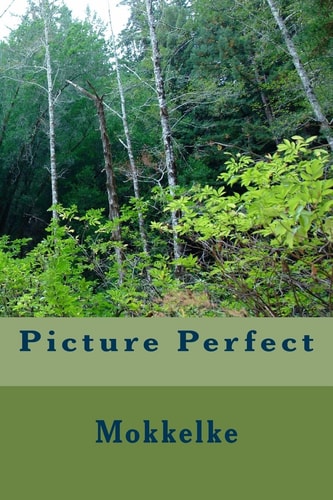 Picture Perfect