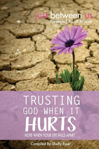 Trusting God When It Hurts Hope When Your Life Falls Apart