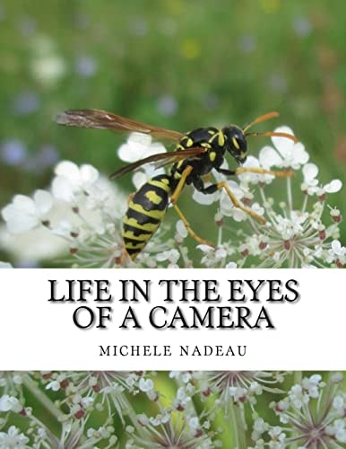 Life in the Eyes of a Camera No One Is Perfect
