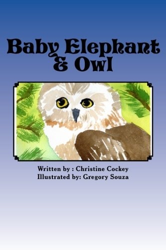 Baby Elephant and Owl