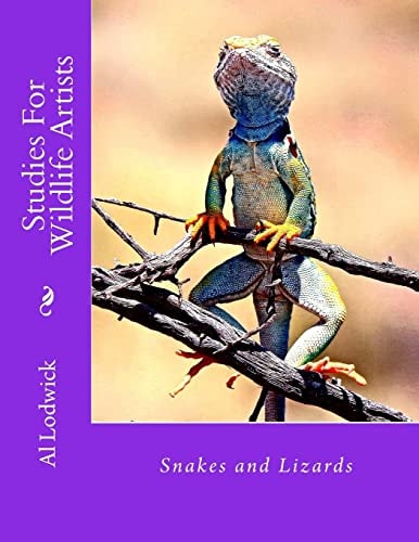 Snakes and Lizards Studies For Wildlife Artista