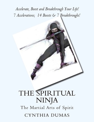 The Spiritual Ninja Martial Arts of Spirit