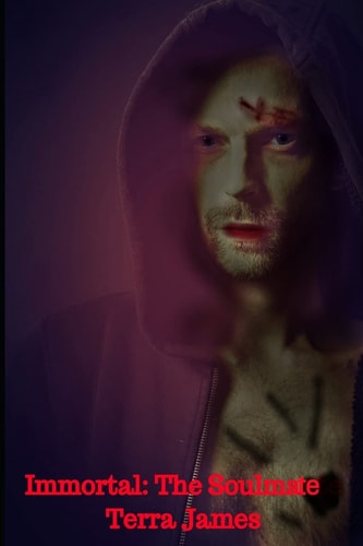 Immortal The Soulmate: Book 2 in the Immortal Series