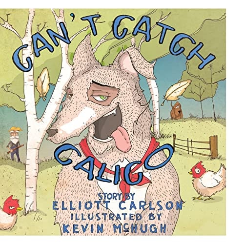 Can't Catch Calico