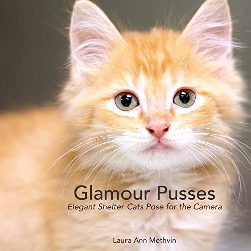 Glamour Pusses