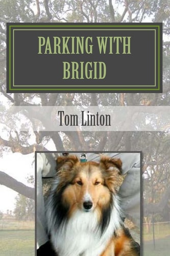 Parking with Brigid Texas' State Parks Built by the Civilian Conservation Corps