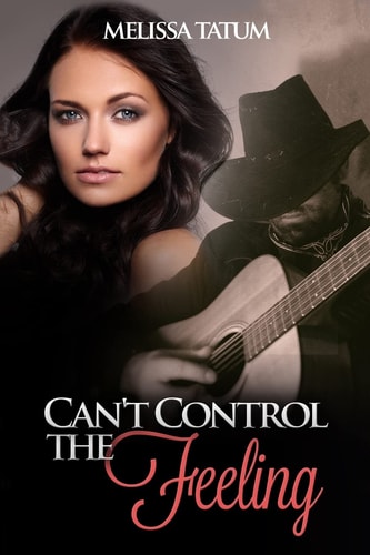Can't Control the Feeling Book 2