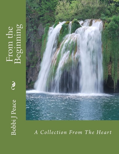From the Beginning A Collection From The Heart