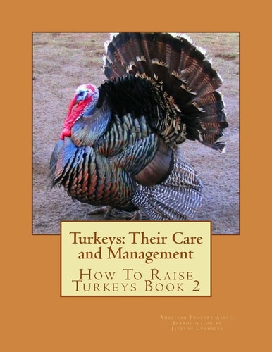 Turkeys Their Care and Management: How To Raise Turkeys Book 2