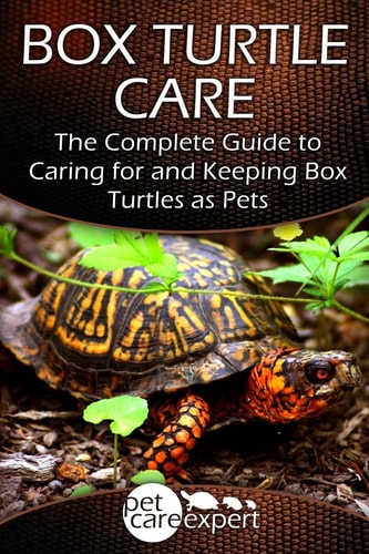 Box Turtle Care The Complete Guide to Caring for and Keeping Box Turtles as Pets