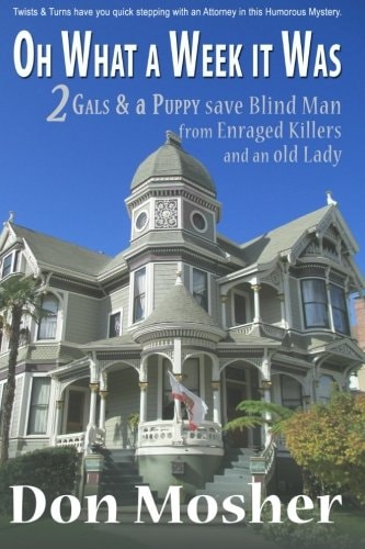 Oh What a Week It Was 2 Gals and a Puppy Save Blind Man from Enraged Killers and an Old Lady