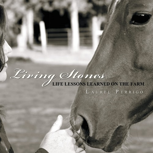 Living Stones Life Lessons Learned on the Farm