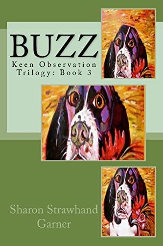 Buzz Keen Observation Trilogy: Book 3