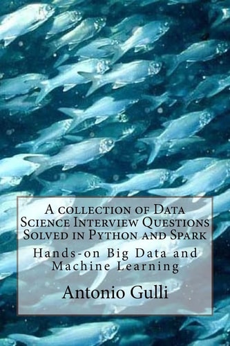 A Collection of Data Science Interview Questions Solved in Python and Spark Hands-on Big Data and Machine Learning (volume I)