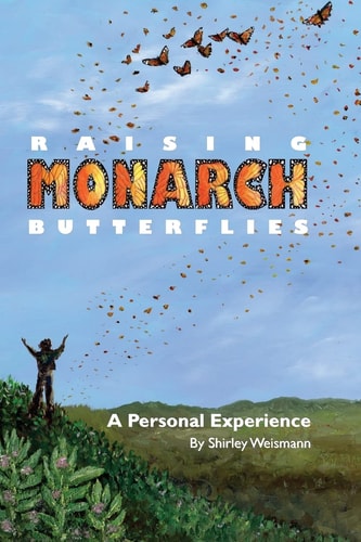 Raising Monarch Butterflies A Personal Experience