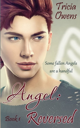 Angel Reversed