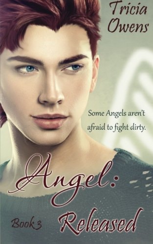 Angel Released (A: R Earth 3)