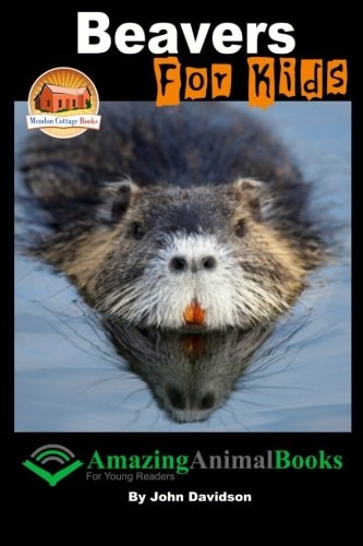 Beavers For Kids - Amazing Animal Books for Young Readers