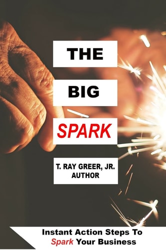 The Big Spark Instant Action Steps To Spark Your Business